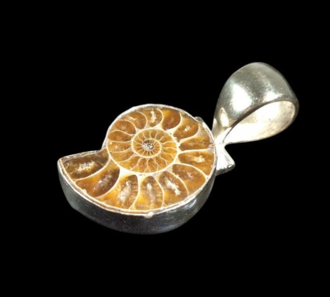 Vintage Ammonite Fossil Pendant 925 Sterling Silver Bezel Spiral Shell 1.75″