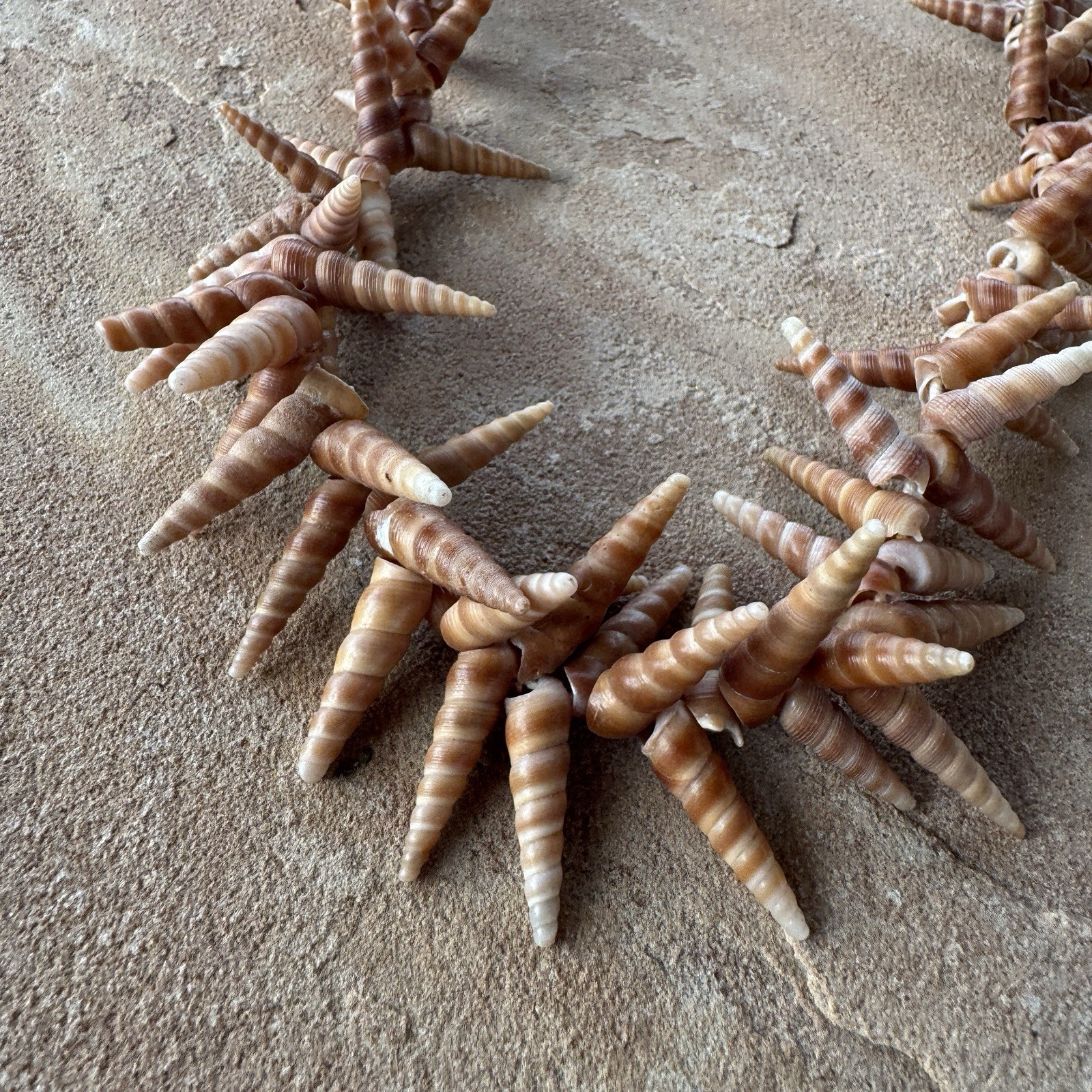 Mermaid Shell Necklace 48” Long Spiral Turritella Strand Boho Mermaid Beach