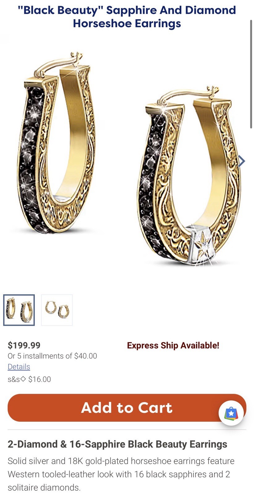Vintage Silver 2 Diamond & 16 Sapphire Black Beauty Western Hook Earrings