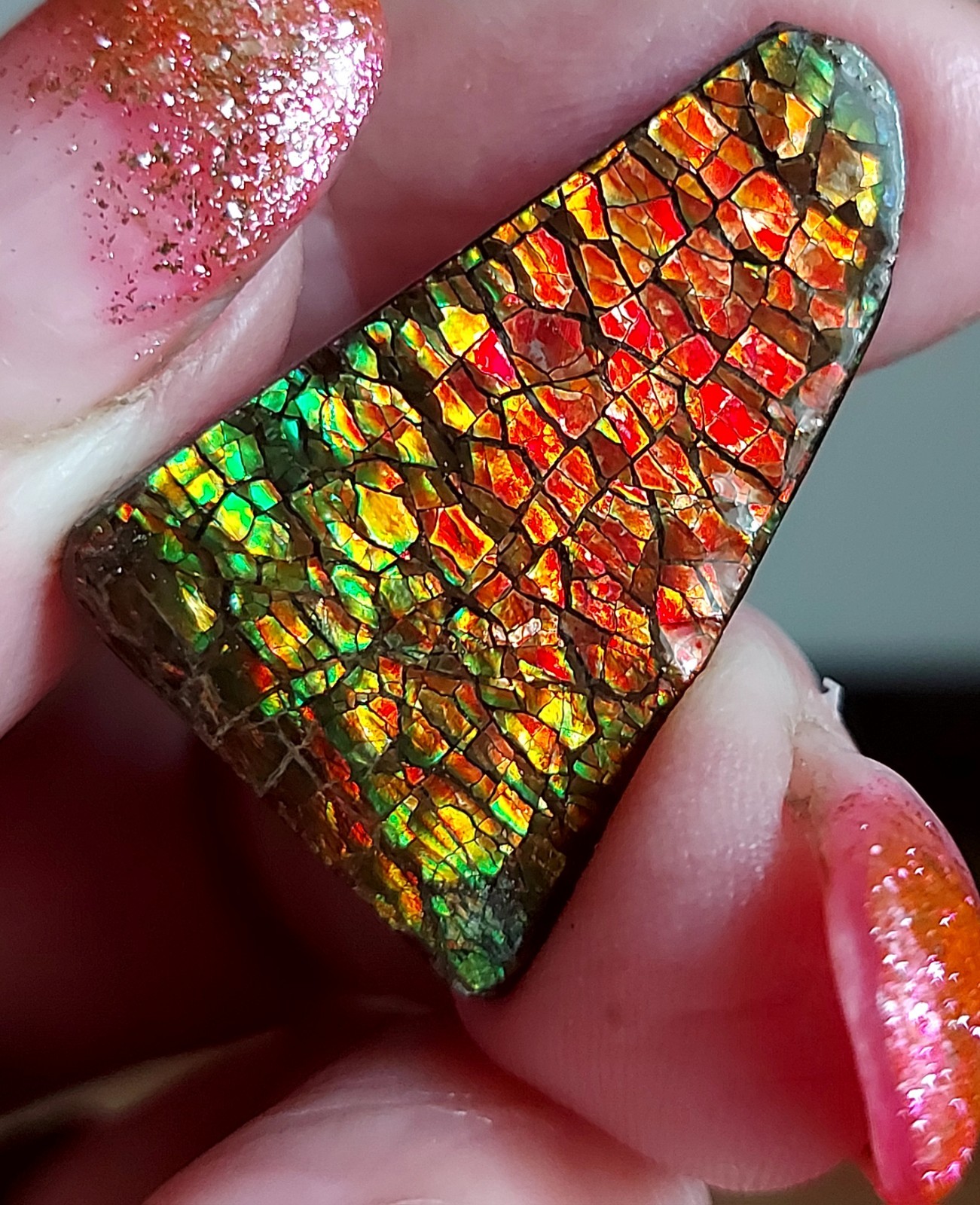 Ammolite Ammonite Coated Stone 30.7x20x4.3mm 5712