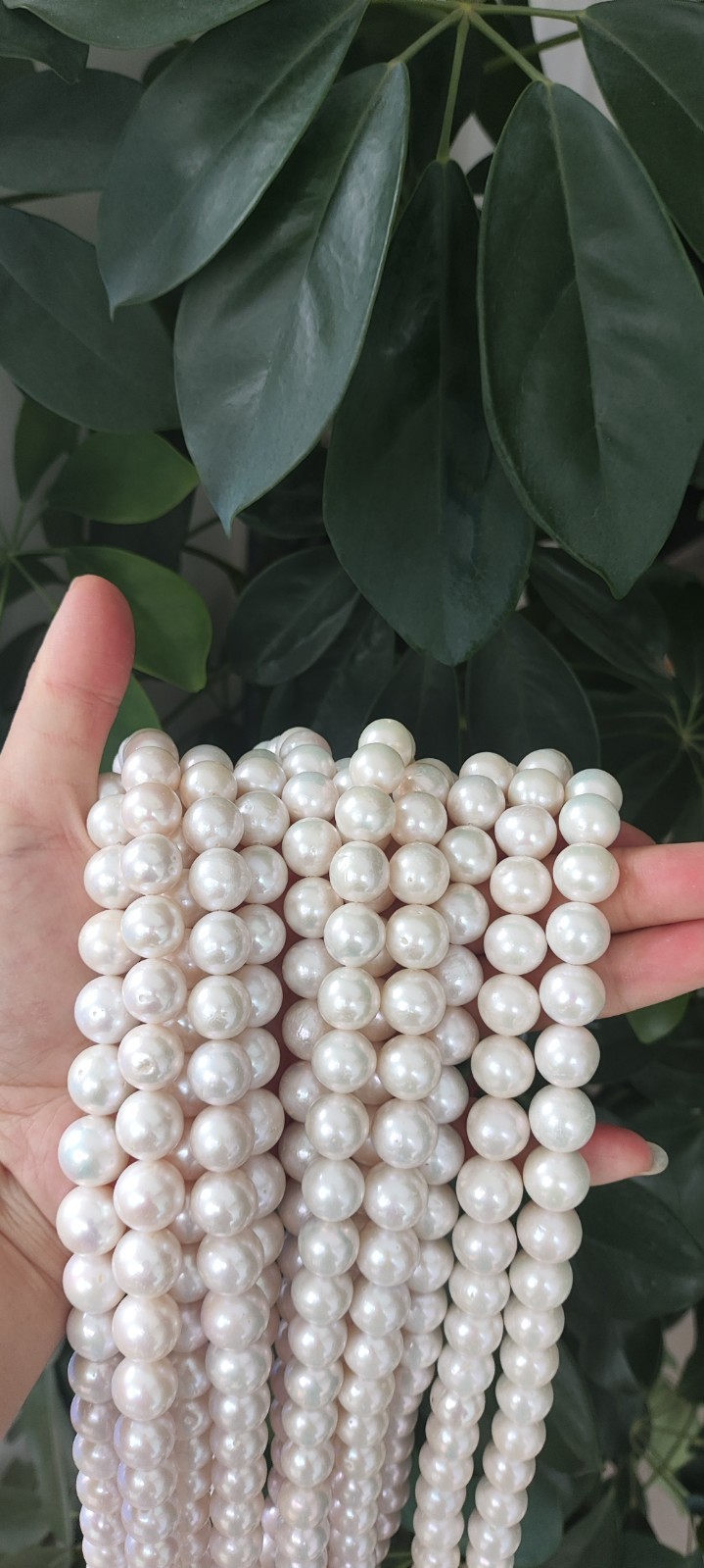 AAAAA 12-13 MM GENUINE NATURAL Australian south sea white pearl necklace 18″