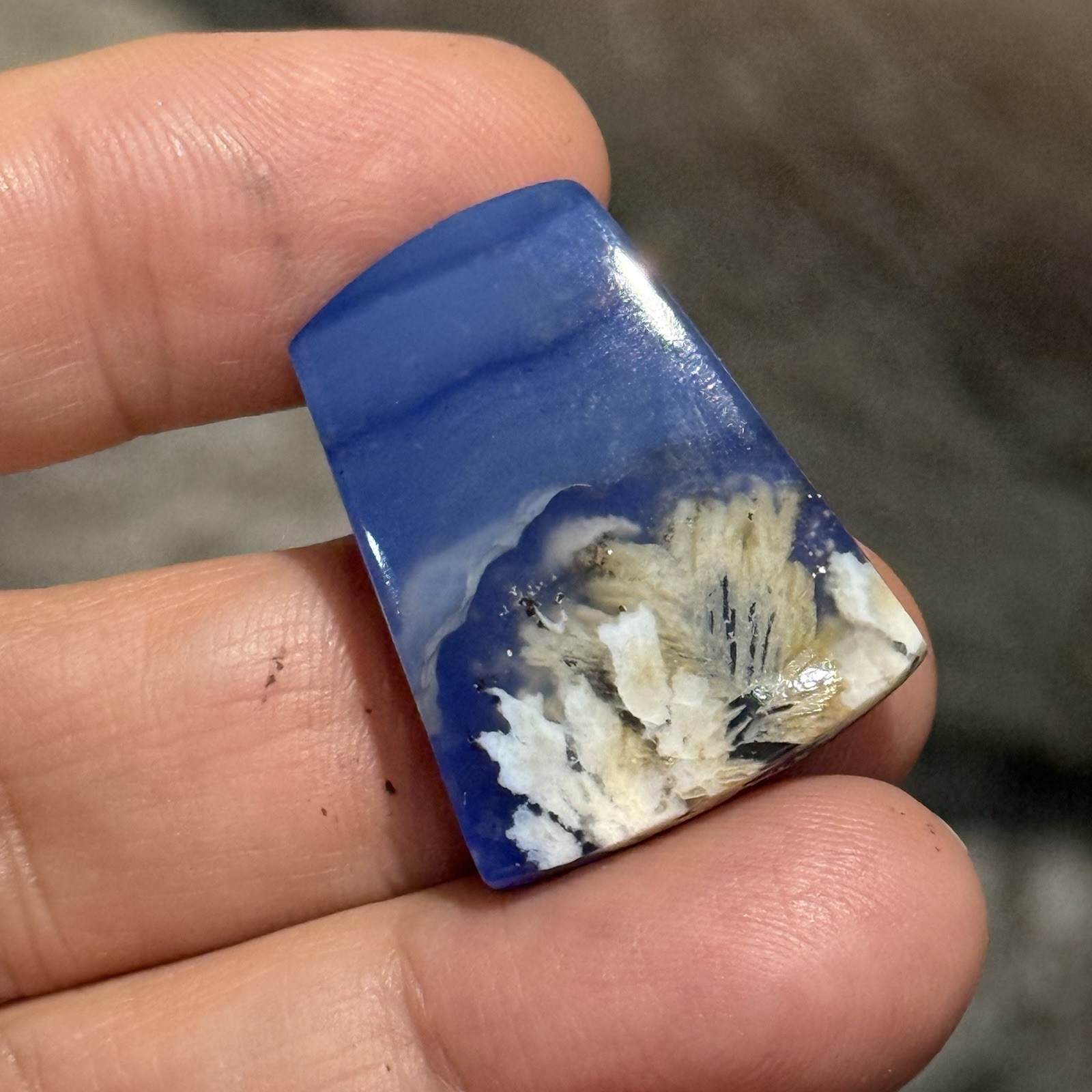 32.3ct 28x21x5mm Flower Plume Agate And Lapis Lazuli Doublet Cabochon Gem