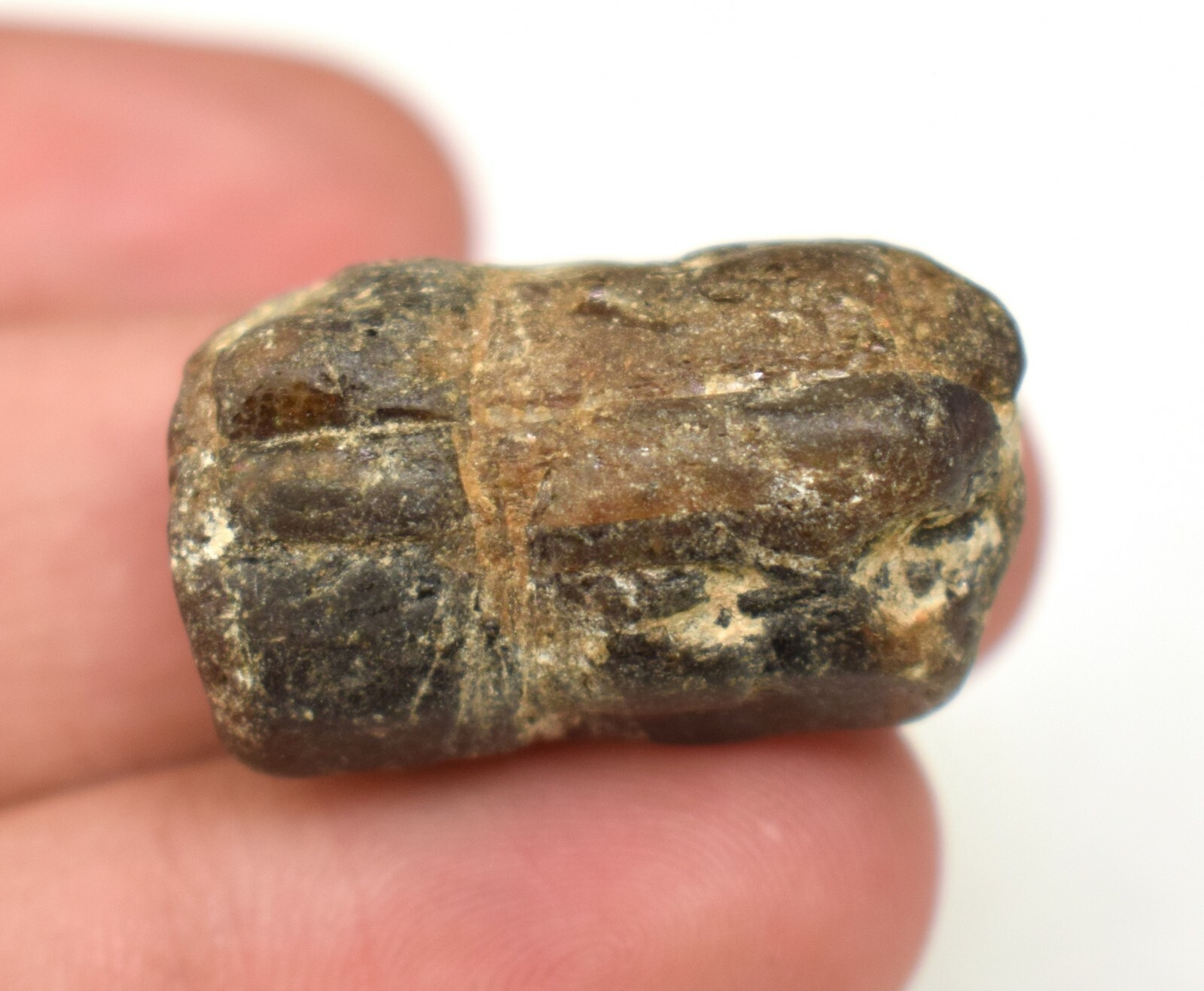 Natural Brown Tourmaline Rough 57.55 Ct From Nepal