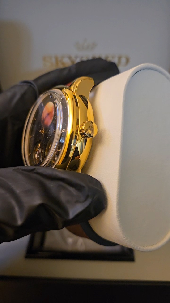SKYSEED Mechanical Automatic Mars Luxury Watch