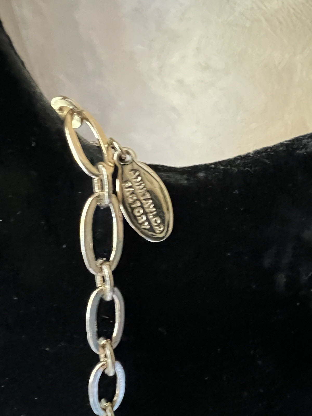 Ann Taylor Factory Long Golden Necklace