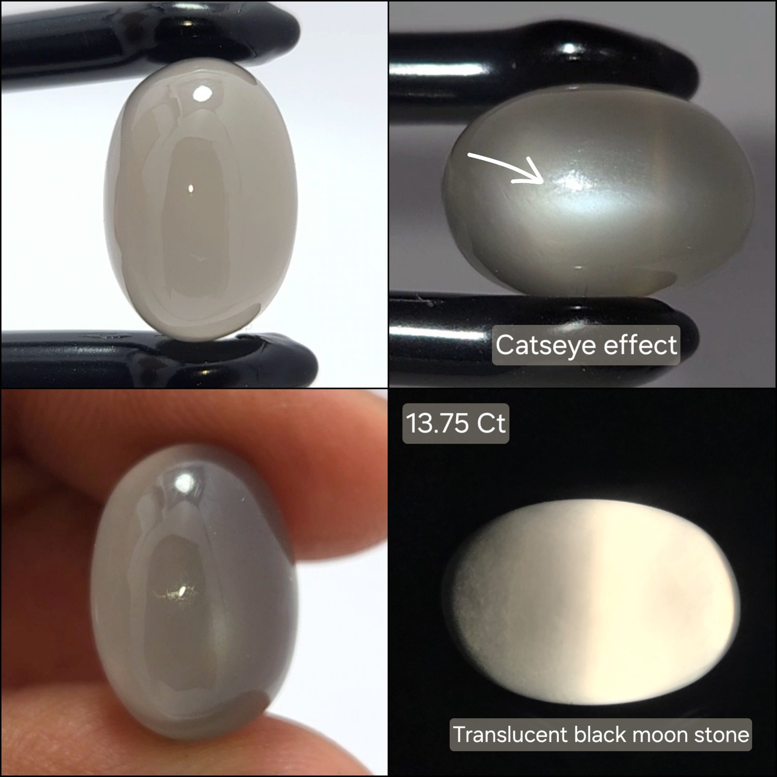 Natural Moonstone cabochon 13.75 ct Black Cat’sEye oval untreated loose gemstone