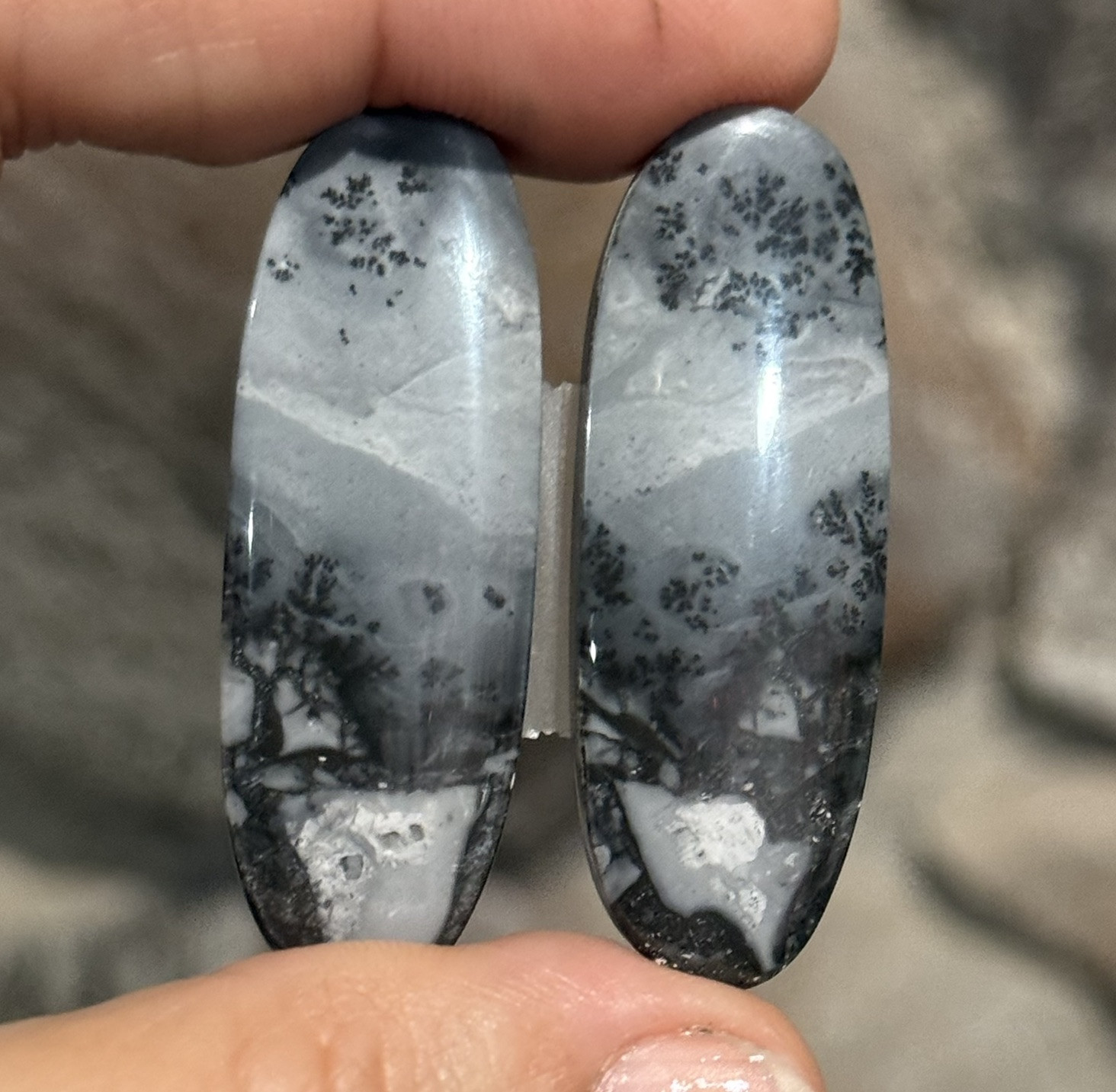 62ct 42x15x4.5mm Pair Fine Gray Scenic Oval Picture Maligano Jasper Cabochons