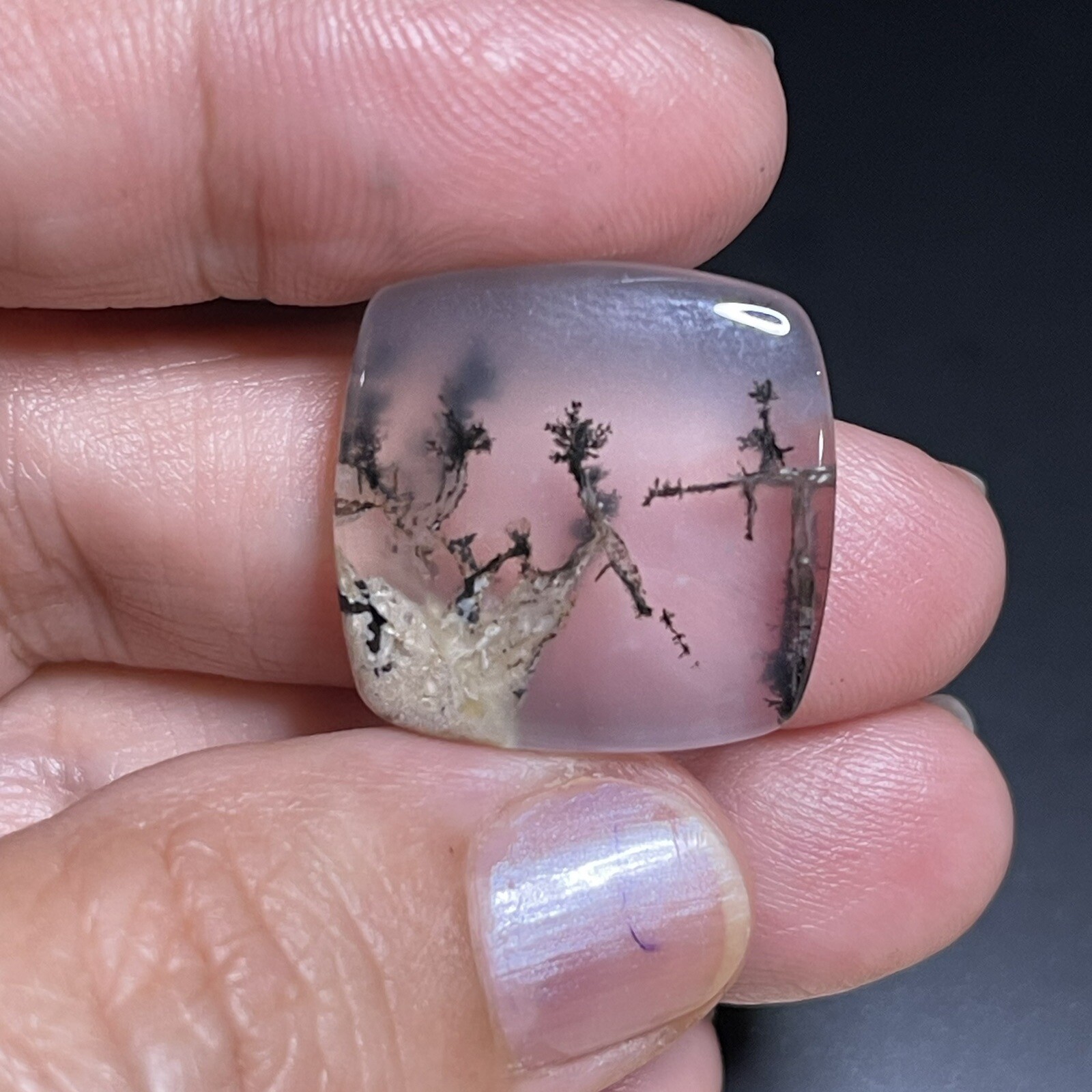 21.3ct 21x21x5.8mm Picture Like Dendrite Agate Smooth Cabochon Collector’s Stone
