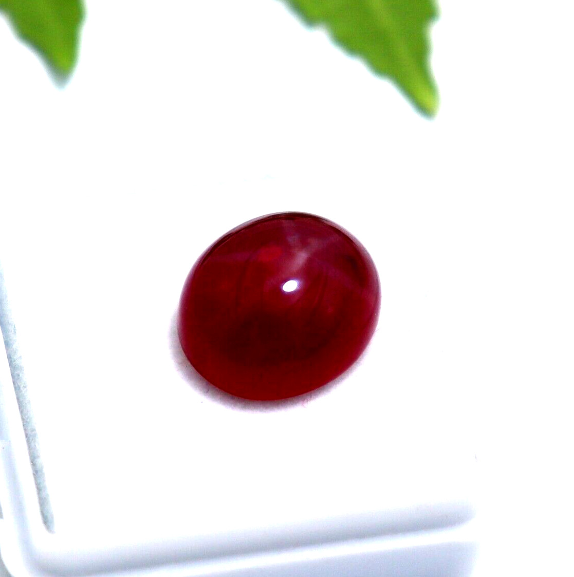 Ruby Loose Gemstone Certified Star Ruby 10-12 CT Oval Cut Natural Star Ruby