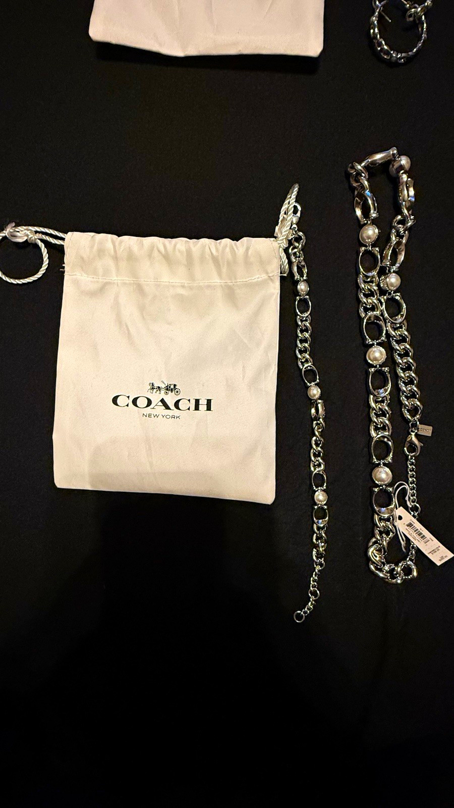 Coach Silver Cable Chain Charm Bracelet Adjustable Lobster Closure & Earrings