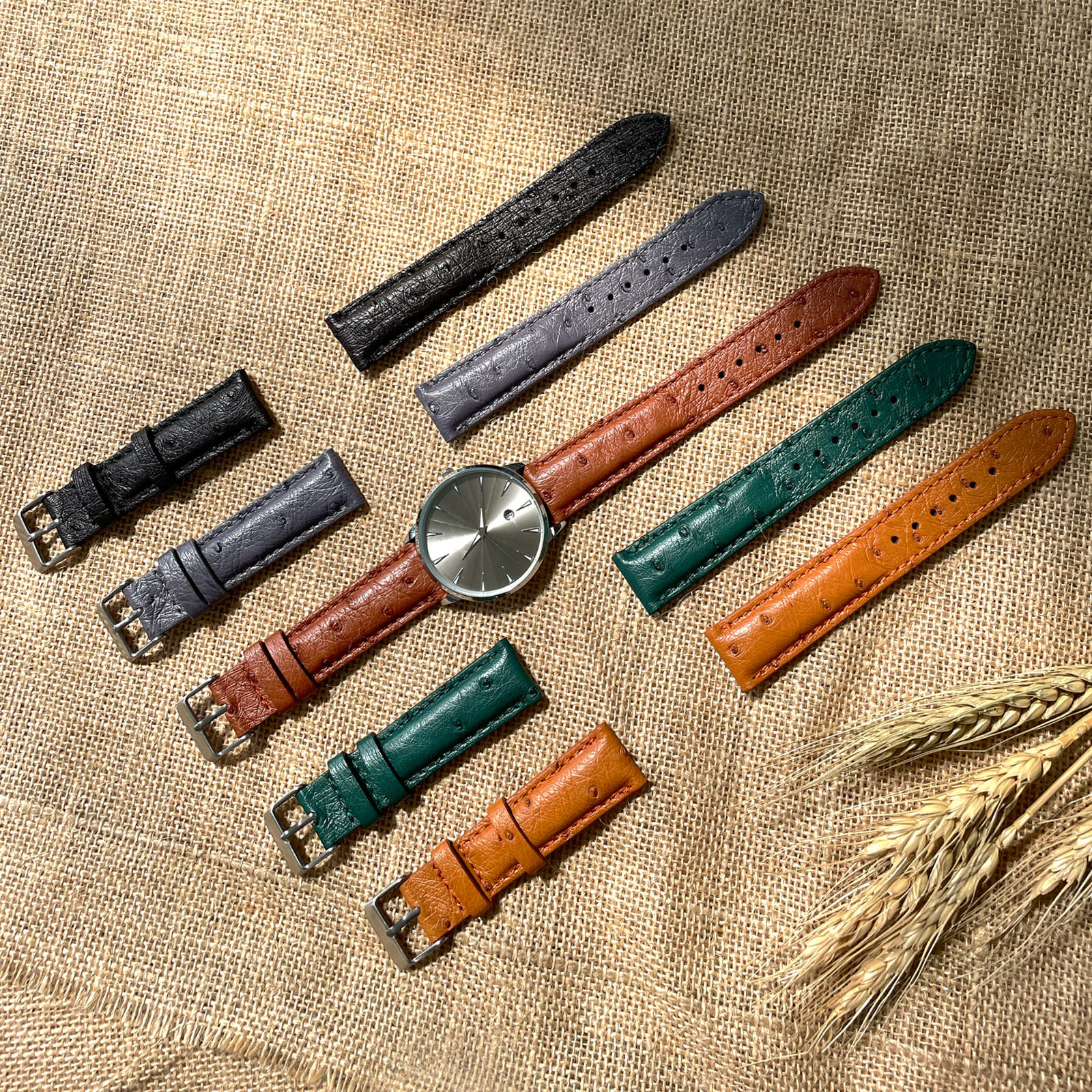 Brown Real Ostrich Leg Leather Watch Band Men Classic Ostrich Watch Strap