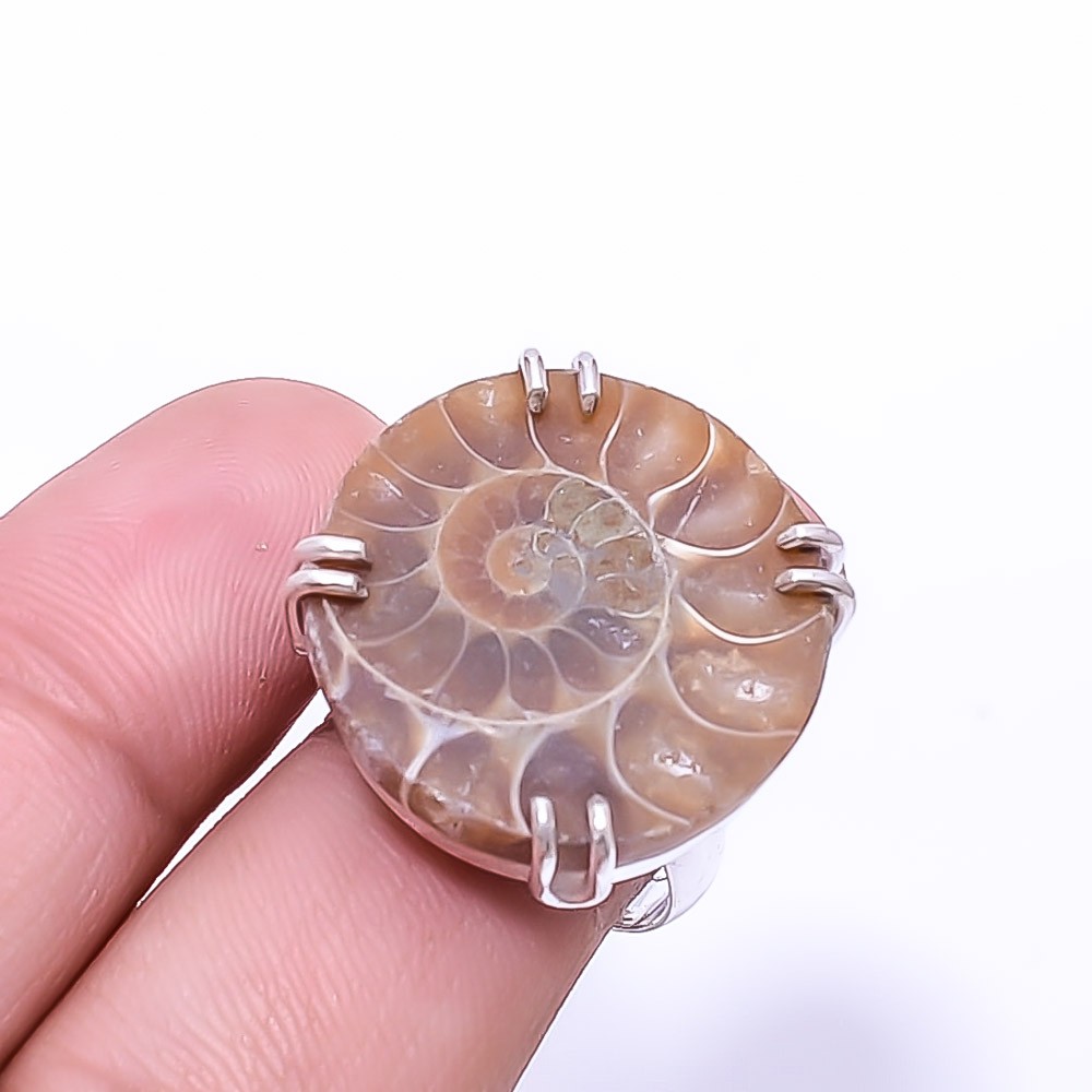Cleoniceras Cleon Ammonite -Fossil Solitaire 925 Sterling Silver Ring s.7.5 R126