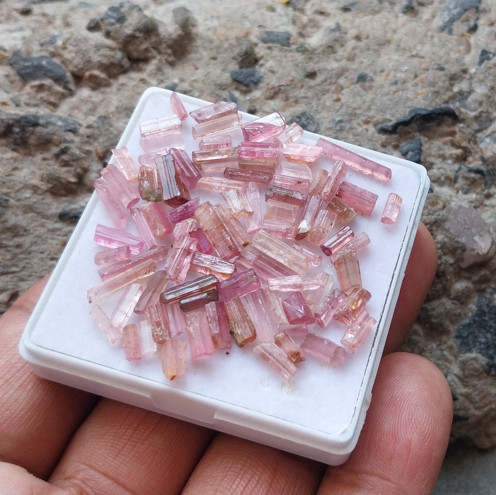 31 Ct 4.5 to 14 MM Natural Pink Color Tourmaline RAW Rough Pencil 82 Piece Lot