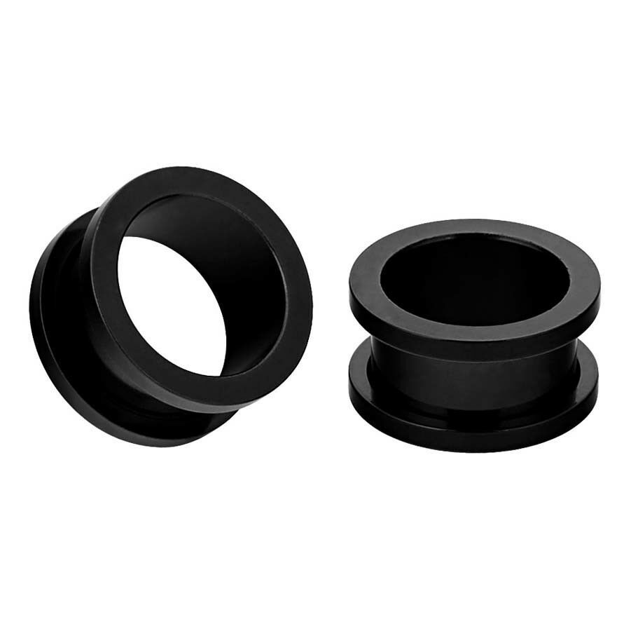 Pair of Black Stainless Steel Screw Flesh Tunnels Ear Gauges Ear Expander Plugs