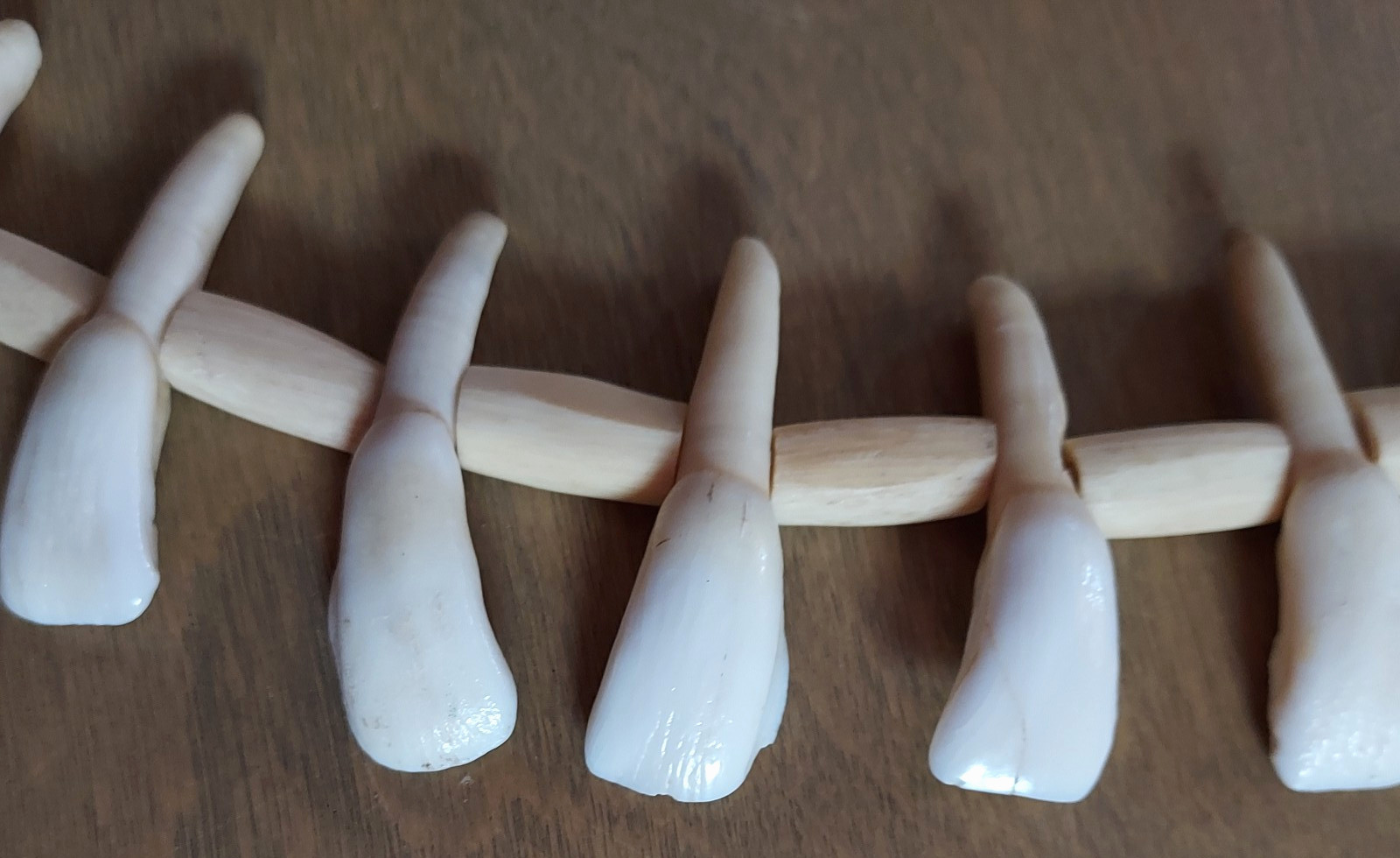 REAL Natural Vintage Tribal Ethnic Necklace Tooth / 20 TEETH + Animal BONES
