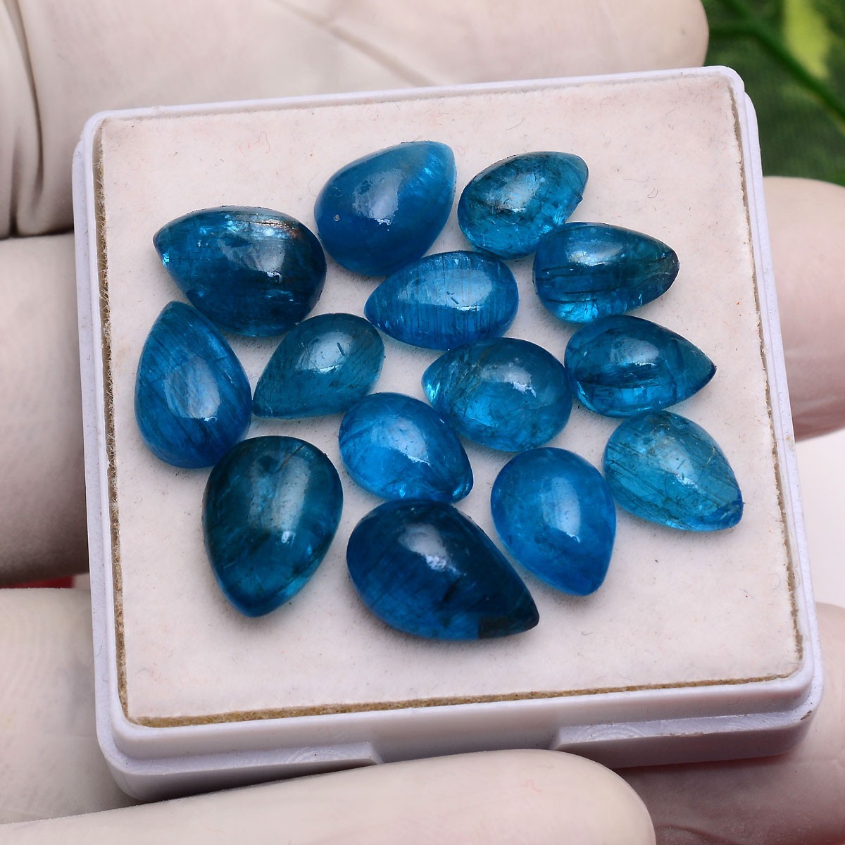 Set 14 Pcs Natural Apatite Untreated 8mm-12mm Pear Stunning Loose Gemstones Lot