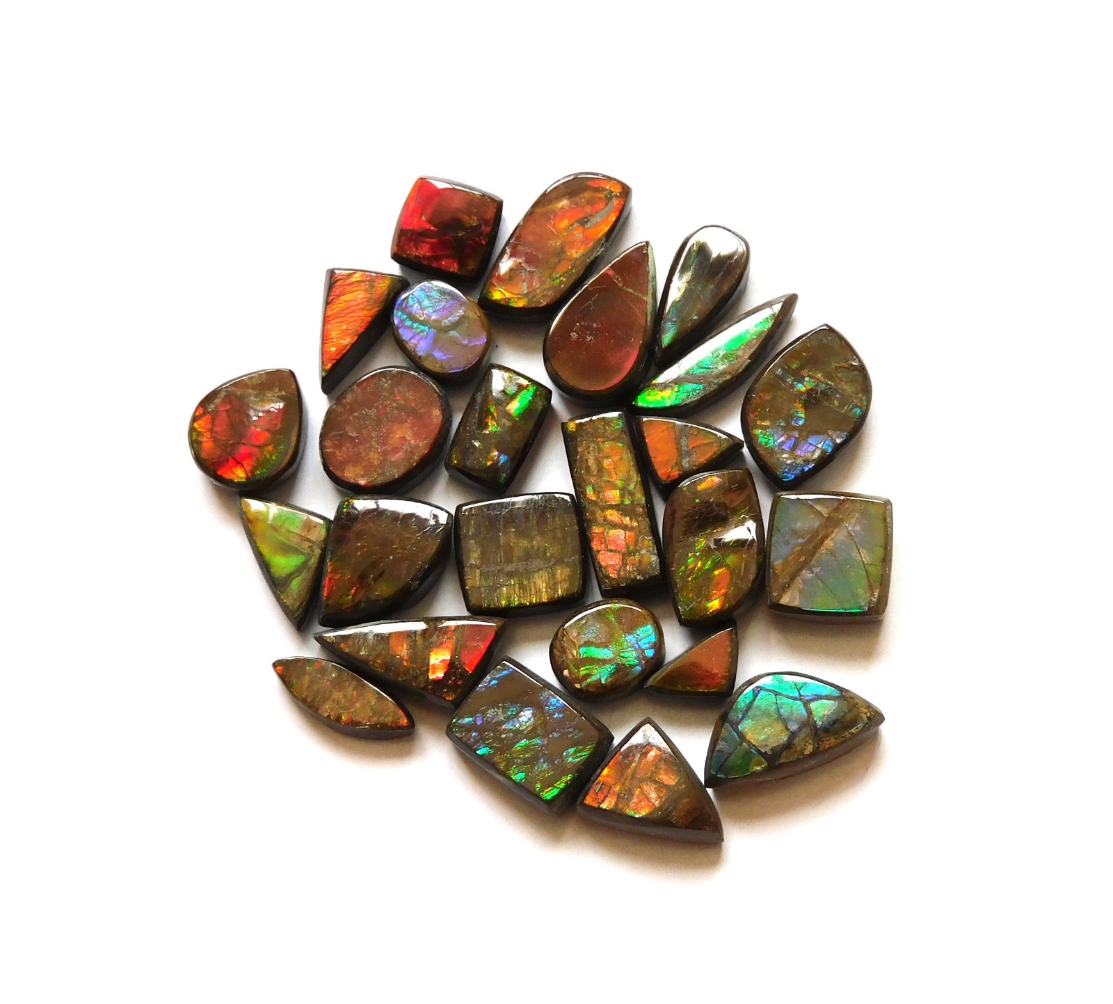 51.10 Cts Natural Ammolite 25 Pcs Lot Loose Cabochon Gemstone ZC17