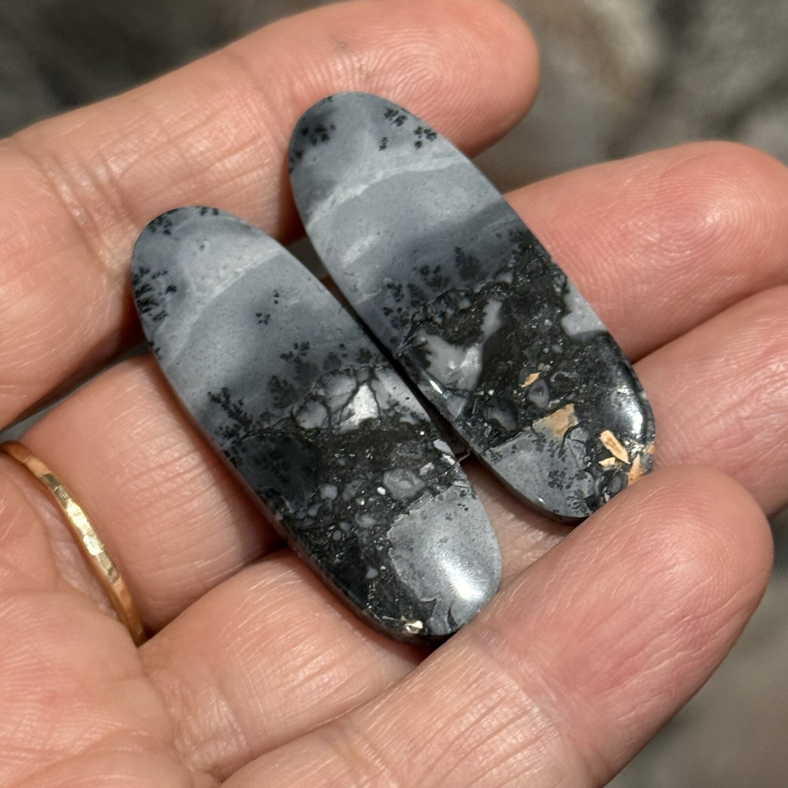 59ct 41×14.5×4.8mm Pair Fine Gray Scenic Oval Picture Maligano Jasper Cabochons