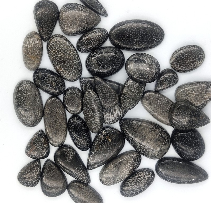Natural Black Fossil Gemstone Cabochon, Best For Unique Jewelry Creation 71302