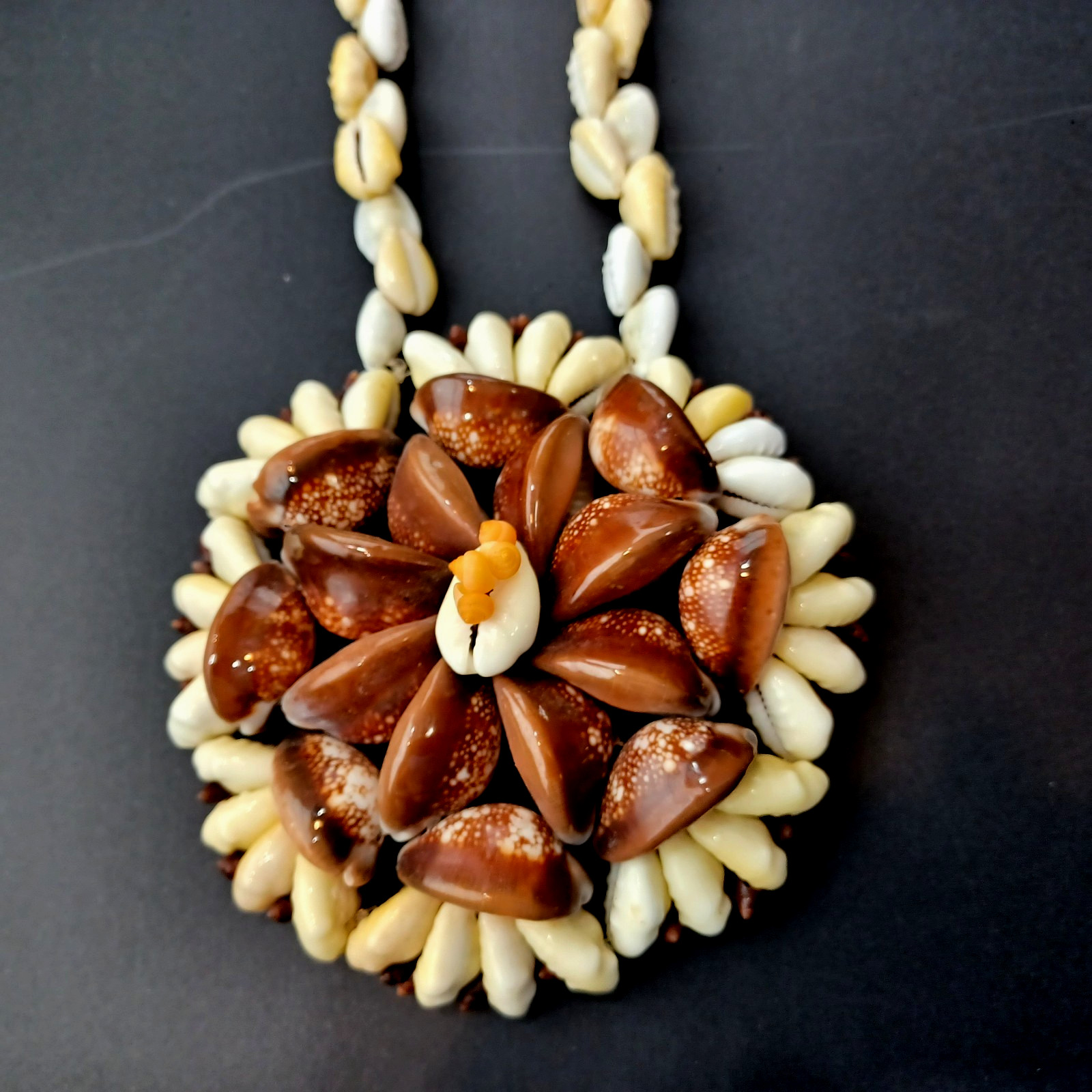 Vintage Rare Hawaiian X-Large Cowrie Shell Necklace & Pendant + Sea Shells