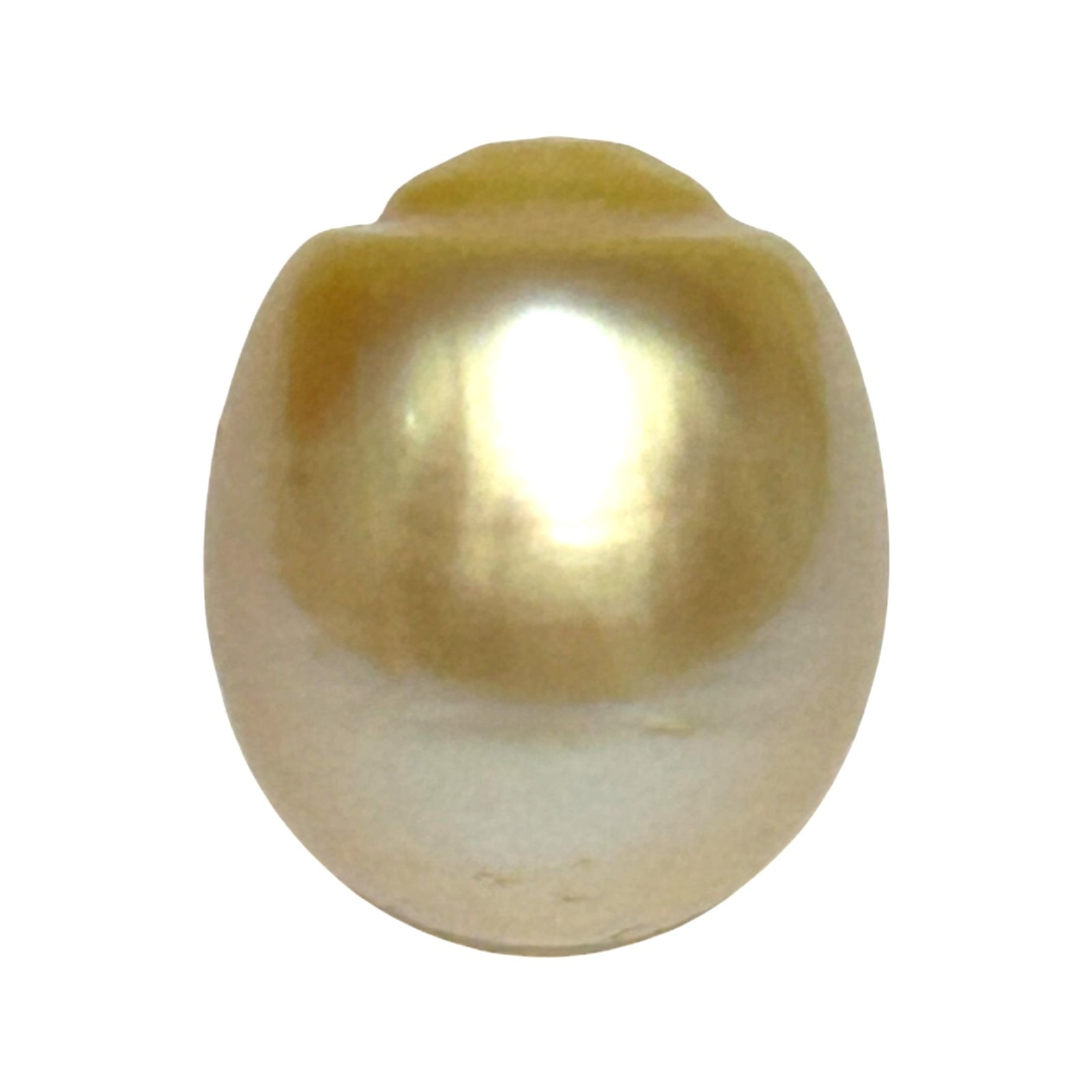 Refined 23.6ct 13.9 x 16.4mm Genuine Golden Australian South Sea Pearl Loose