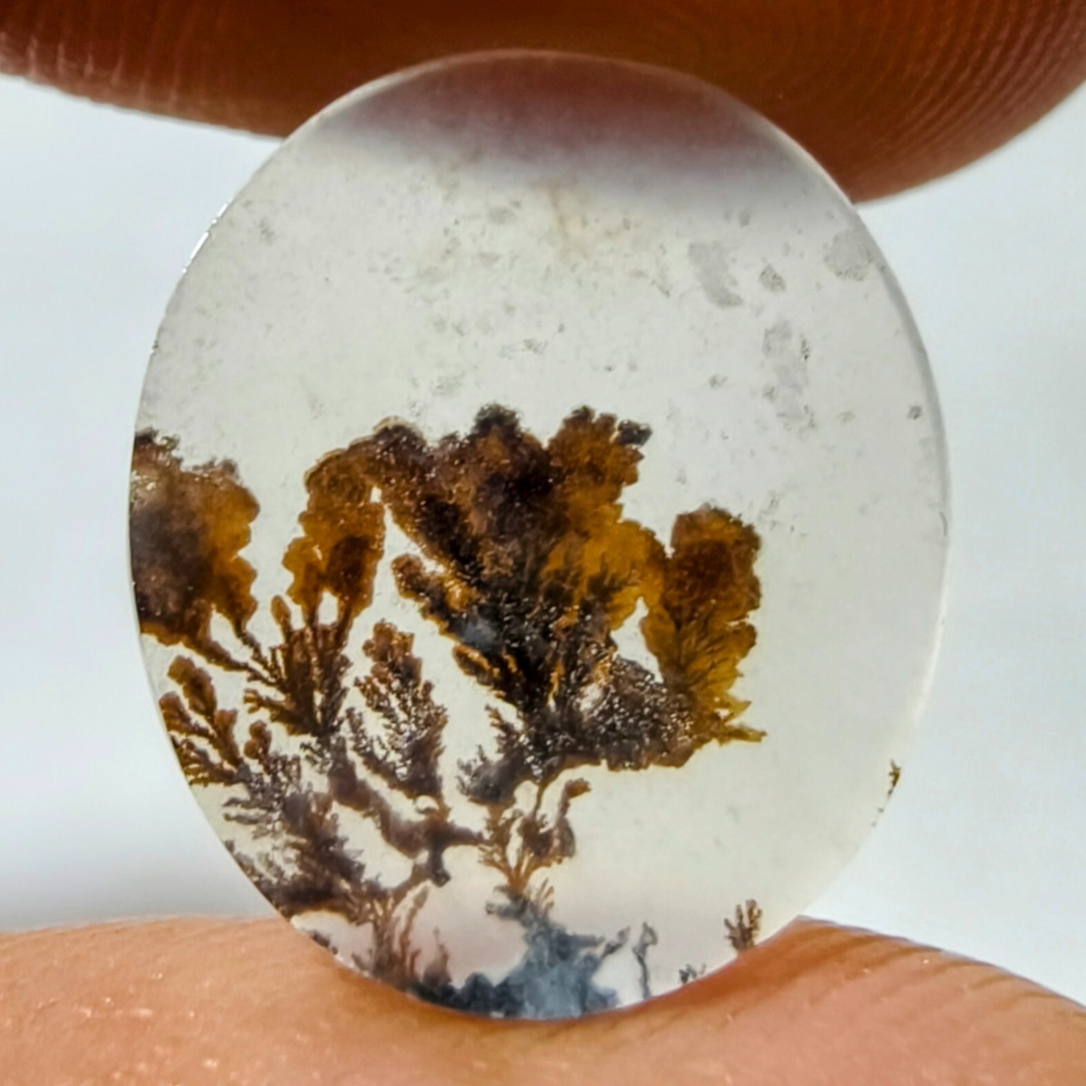 2.50 Cts Natural Shazar Dendritic Agate Cabochon Gemstone 15.3×13.2×1.3 MM 419