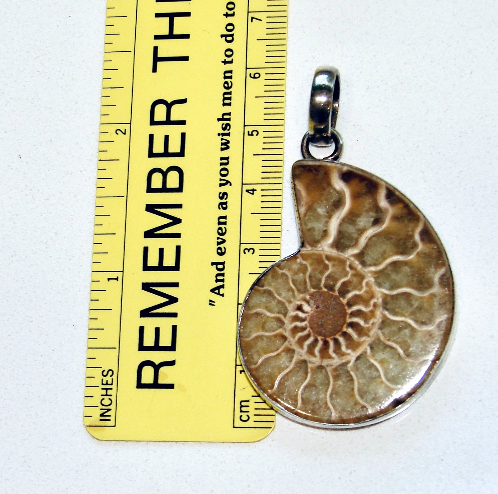 SAJEN 925 STERLING SILVER 925 AMMONITE BROWN SHELL FOSSIL 2.25” PENDANT SJ