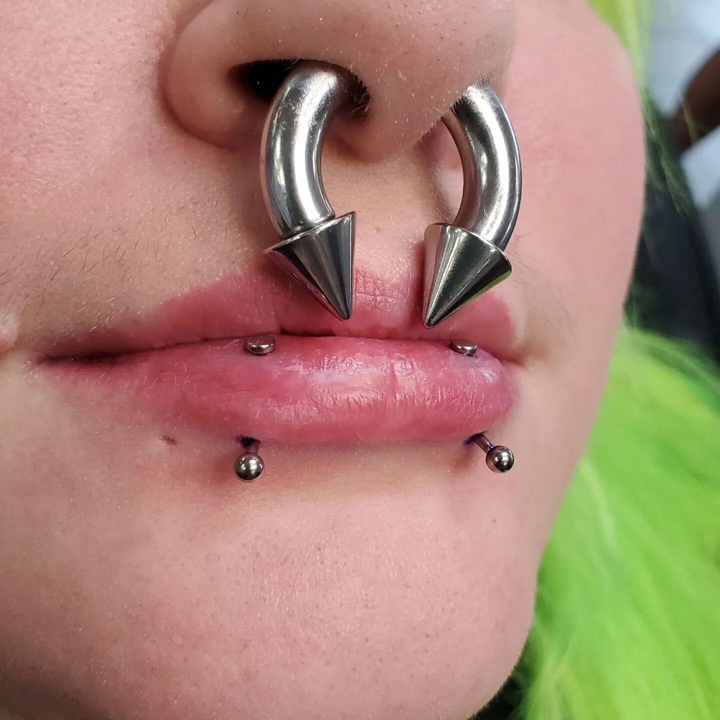 2Pcs Stainless Steel Spike Circular Barbells Large Septum Ring Ear Gauge Earring