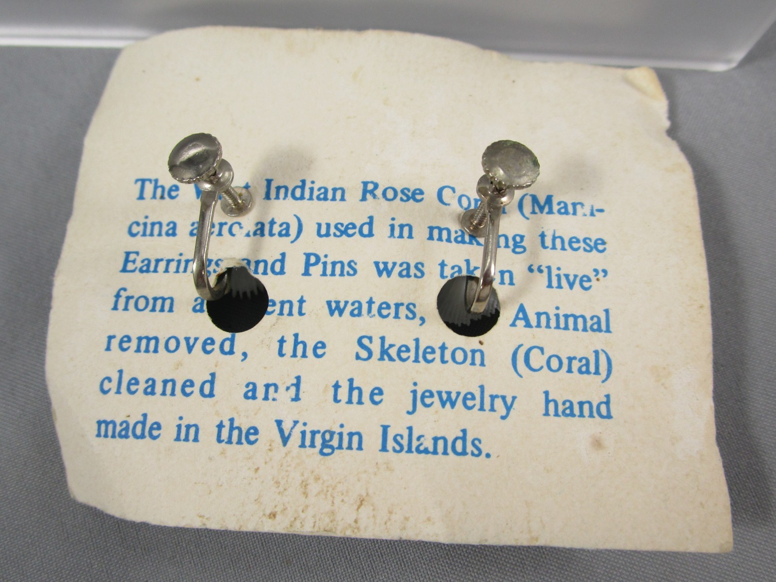 NOS Vintage Tourist Virgin Island Shell Screw back Earrings 164B