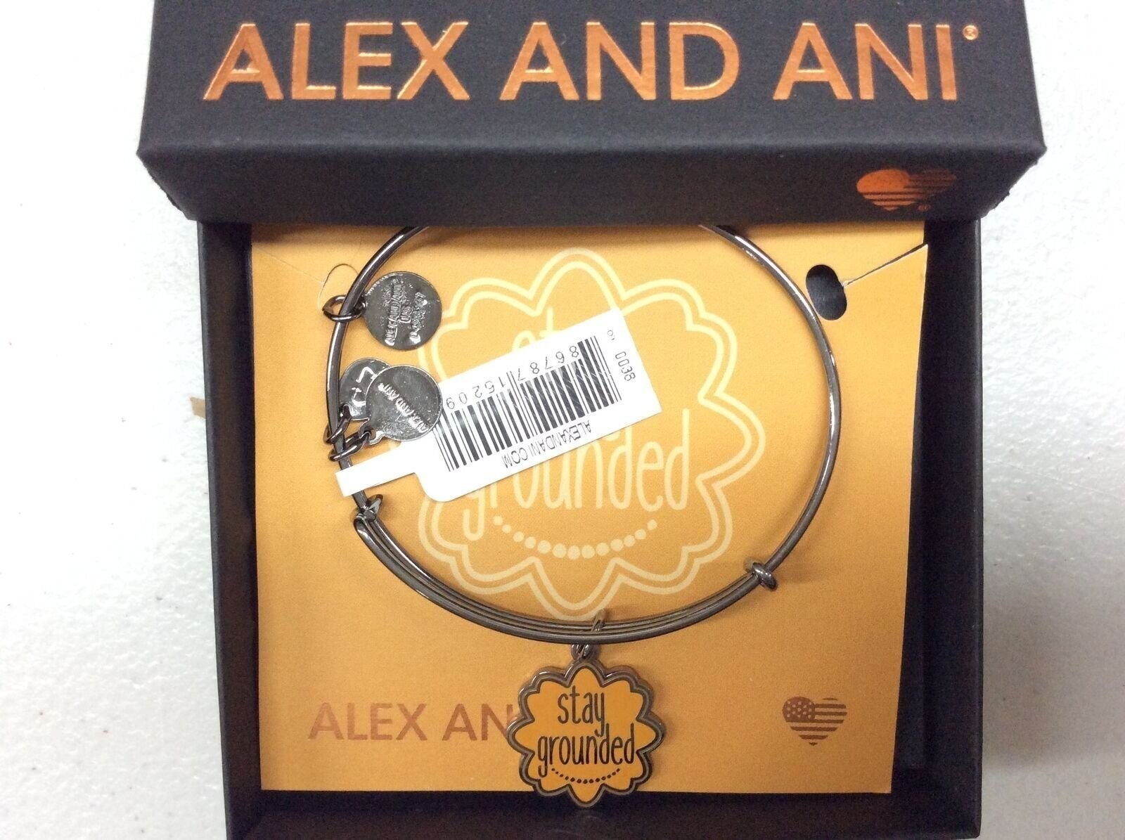 Alex and Ani Stay Grounded Bangle Bracelet Midnight Silver NWTBC