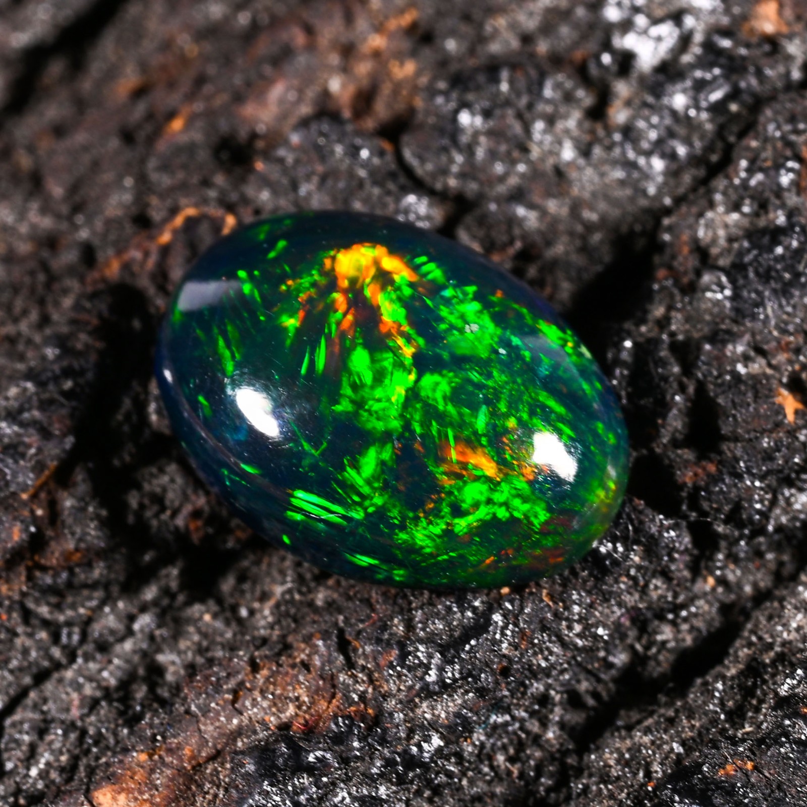 2.50 Ct Natural Ethiopian Multi Fire Black Opal Cabs Loose Gemstone 12X9X4 MM