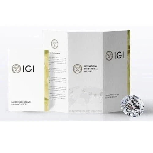 IGI Certified 3.54 Ct E-F/VS1 Lab Grown Diamond 14K White Gold Halo Bridal Ring