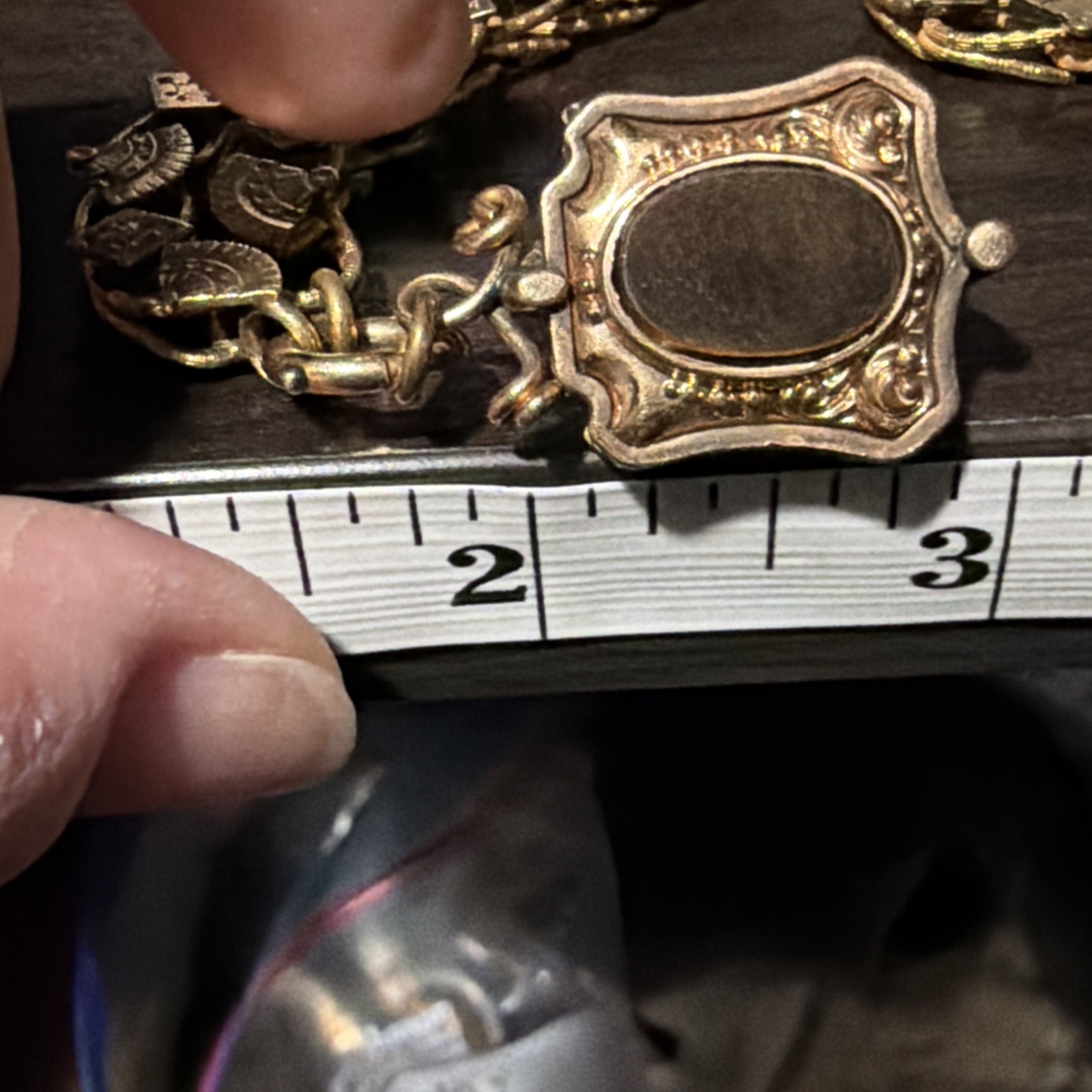Victorian Etruscan 48g Gold Fill Book Chain Necklace Slide GF Locket Tiger Eye