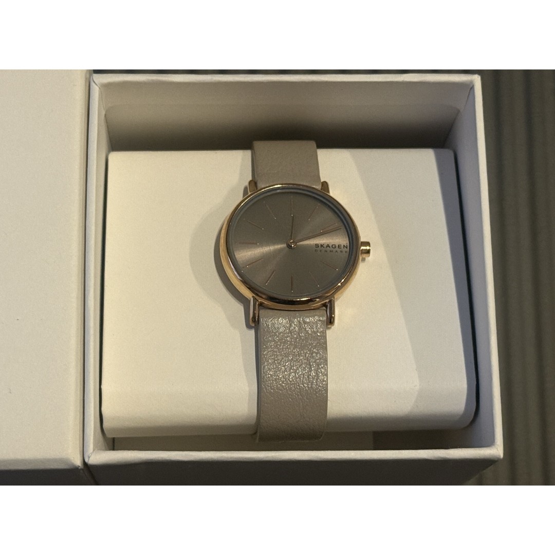 SKAGEN Watch 9800
