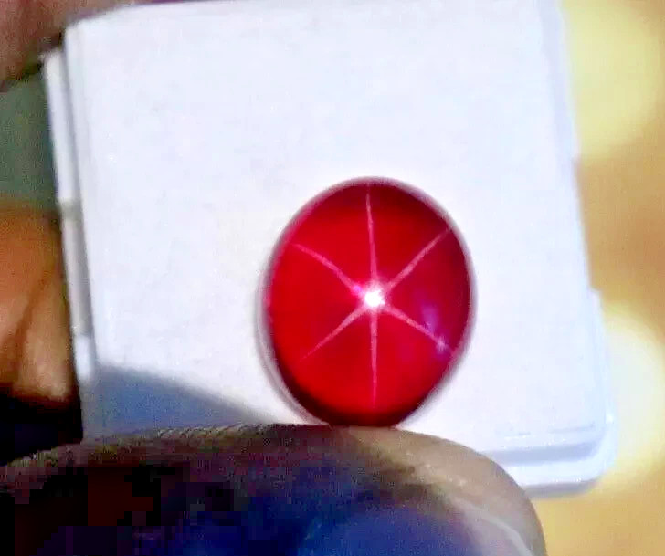6 Rays Natural Red Star Ruby Oval CUT Cabochon 9 Ct Certified Loose Gemstone