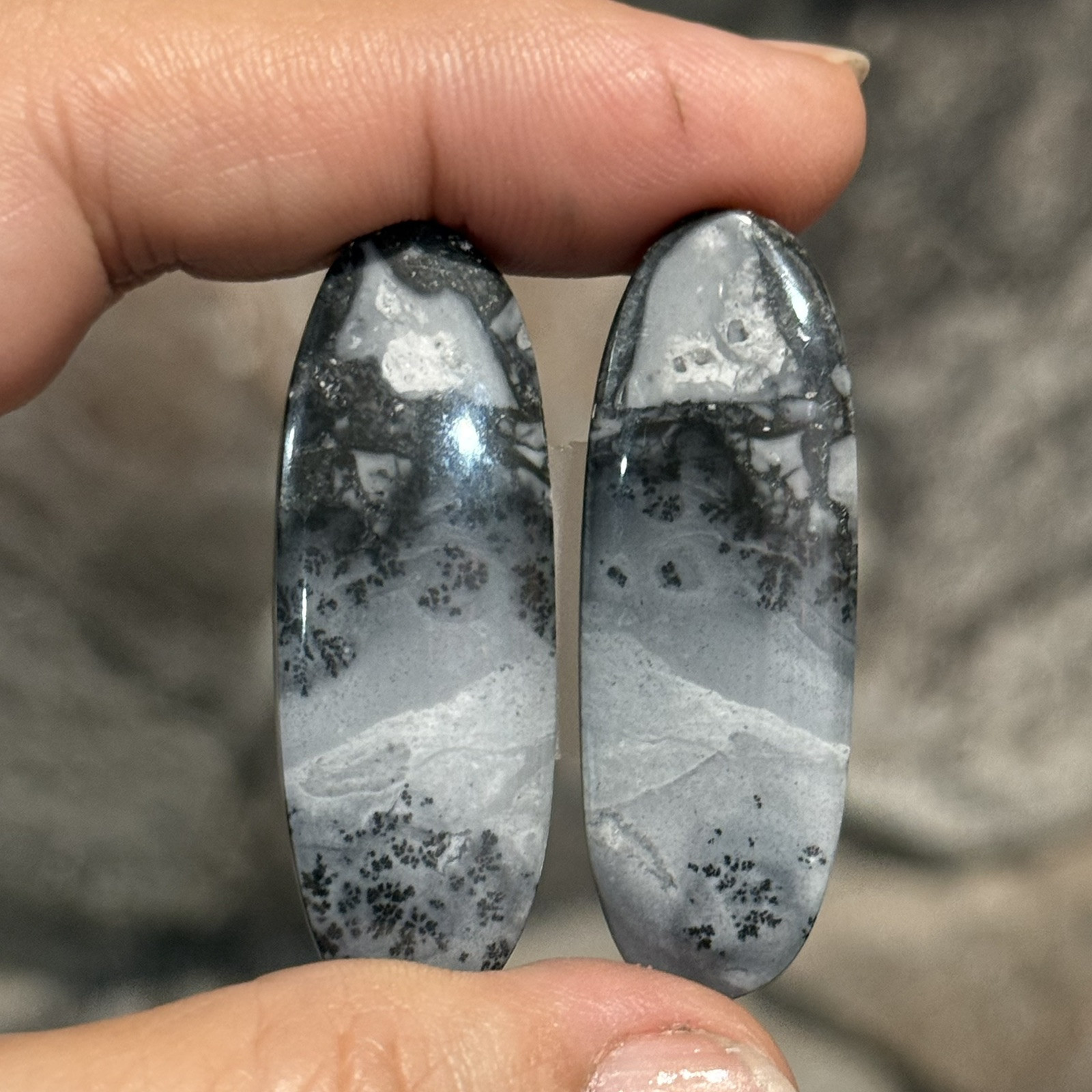 62ct 42x15x4.5mm Pair Fine Gray Scenic Oval Picture Maligano Jasper Cabochons