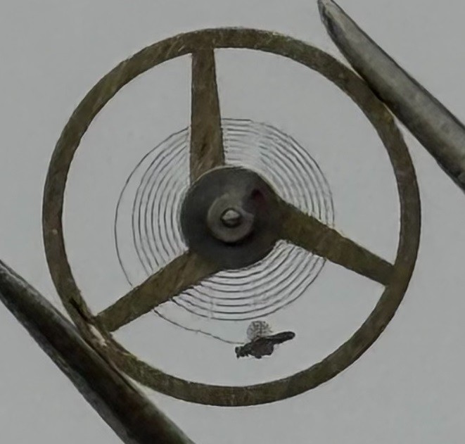 ST 69-21 Balance Wheel Complete And Spring Renata 1609 Watch Movement Parts NOS