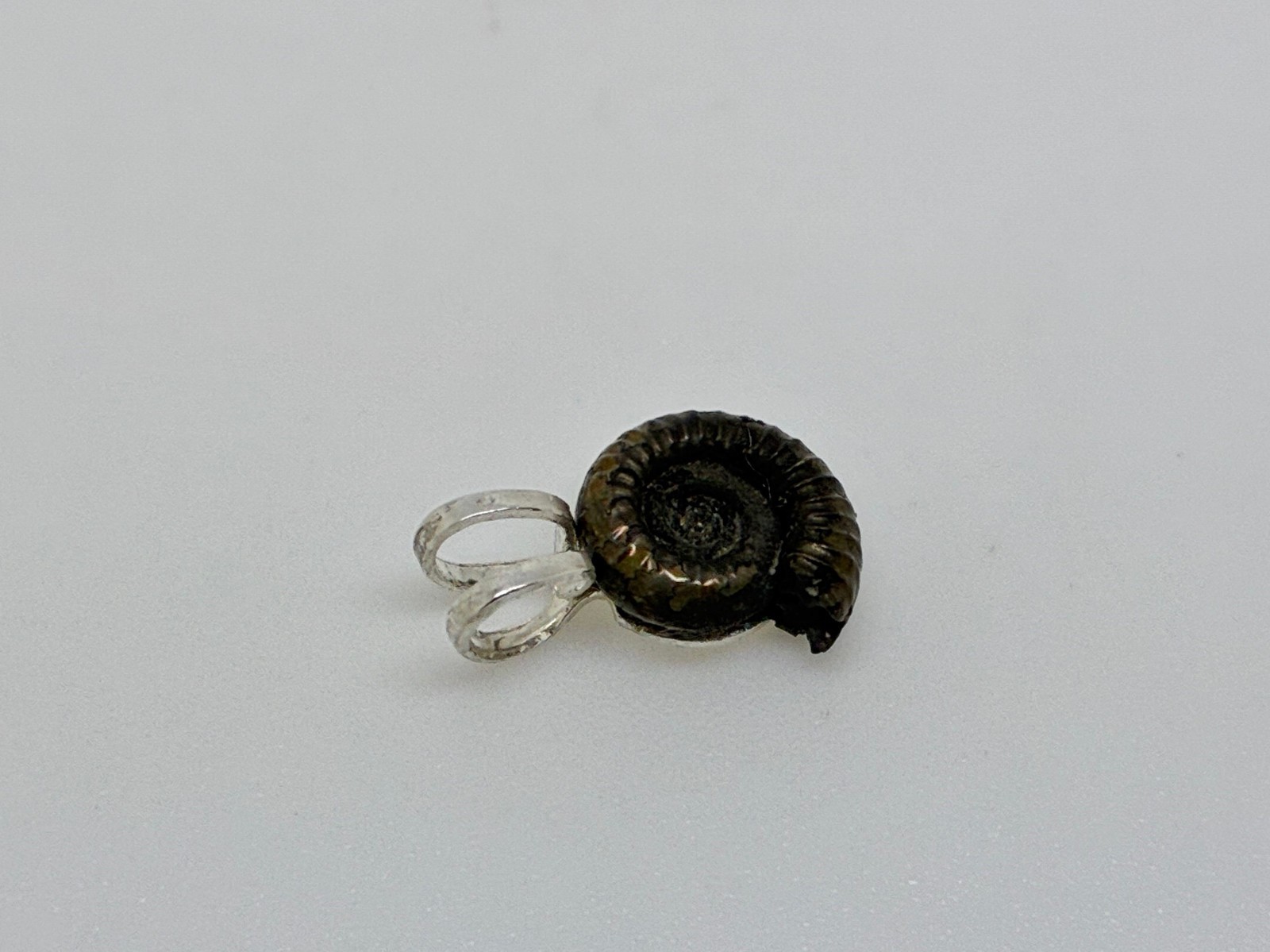 Sterling Silver Genuine Miniature Pyrite Ammonite Jurassic Fossil Pendant