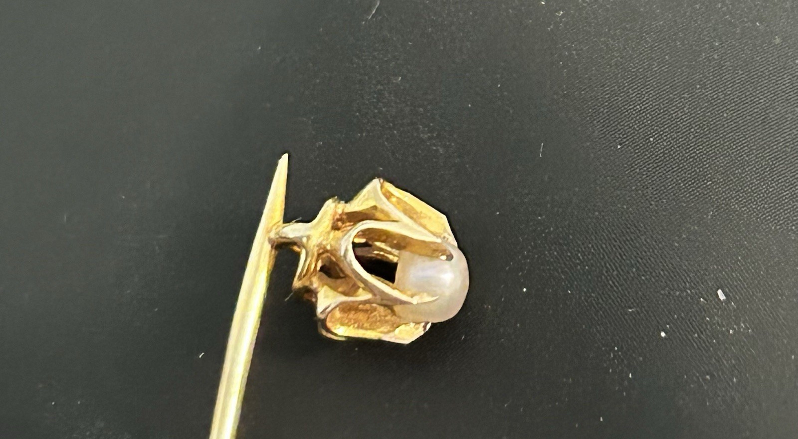 Antique Larter & Sons 14K Yellow Gold Seed Pearl Stick Pin in Presentation Box