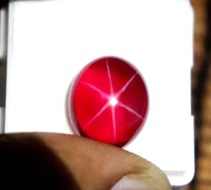 6 Rays Natural Red Star Ruby Oval CUT Cabochon 9 Ct Certified Loose Gemstone