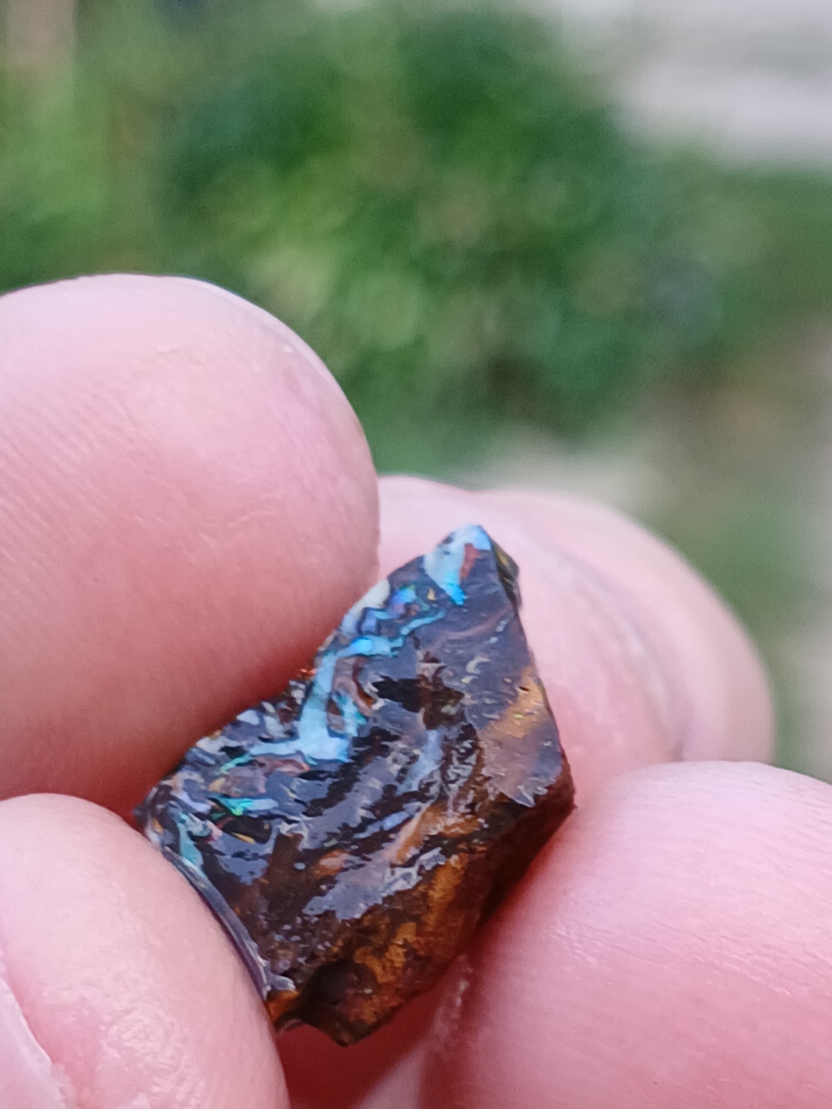 Australia Boulder Opal Koroit R313 Specimen 11 Carat Blue Green