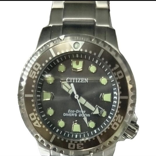 Super Model Citizen Promaster BN0167 50H