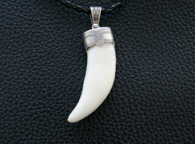 Silver Wolf teeth jewelry Animal Teeth Wolf necklace Wolf head Tooth necklace