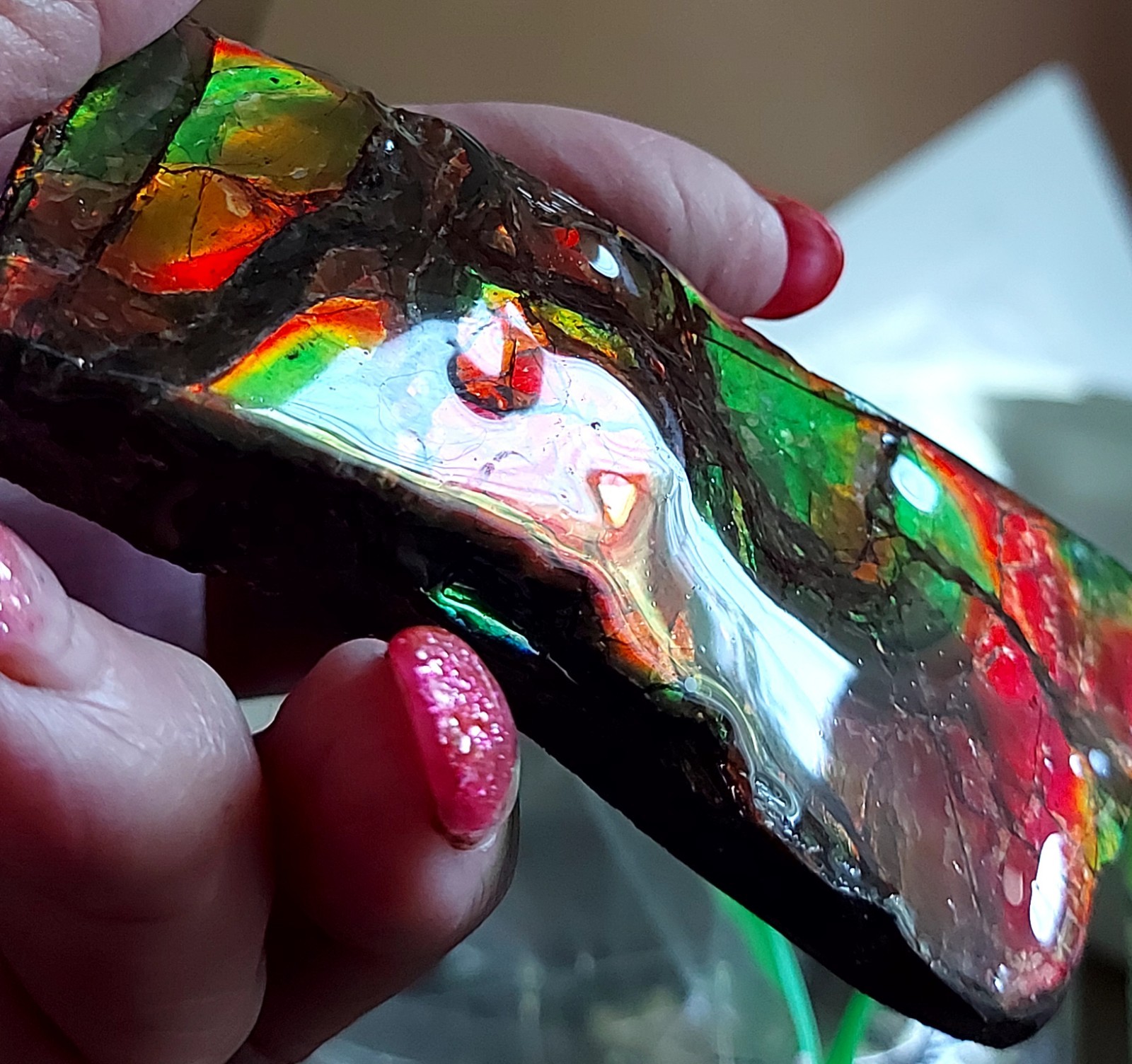 Ammolite Ammonite tabletop Display Color Changer Piece 99.845×12.3mm 5757