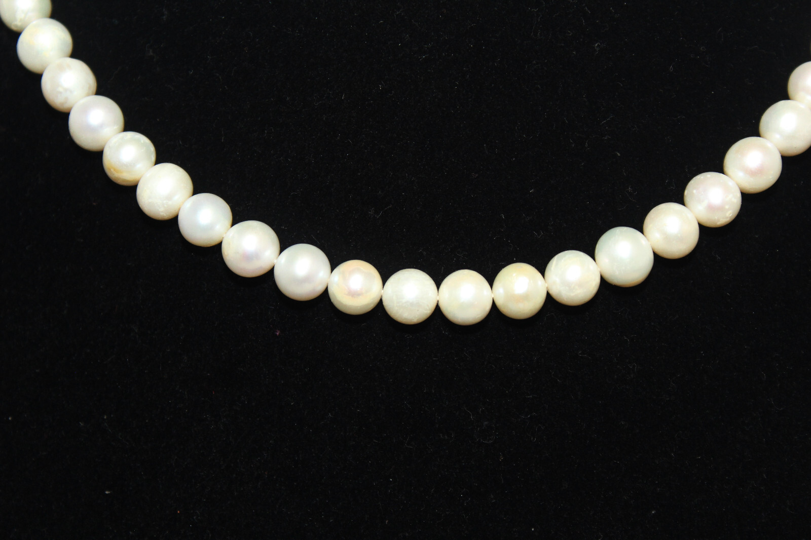 Adjustable Necklace 1 Line Strand String Beaded Women Freshwater Pearl F240