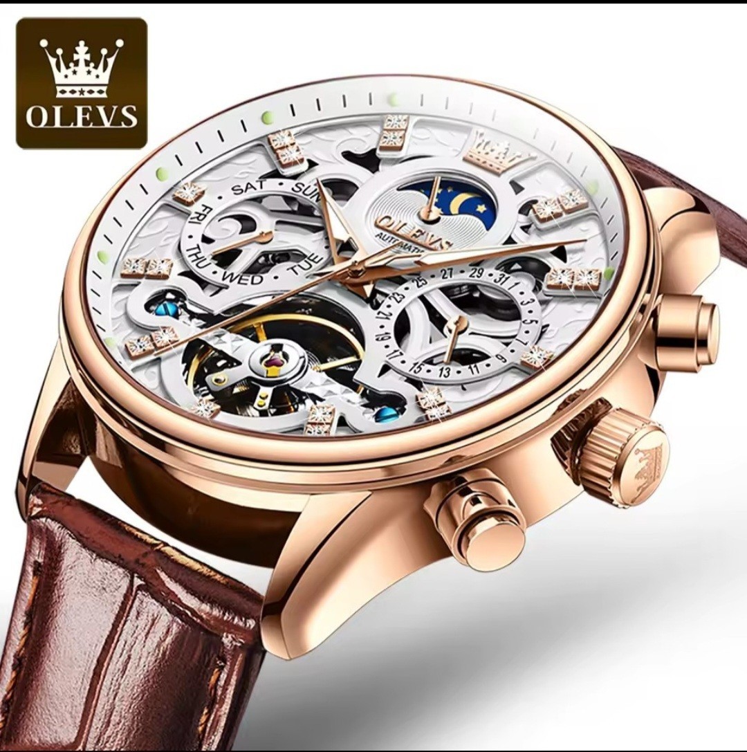 OLEVS Luxury Mechanical automatic Mens Watch With Leather Strap, Waterproof,