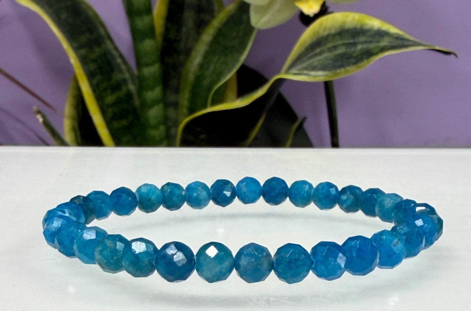 Wholesale 6 Pcs Natural Apatite 6mm Faceted 7.5” Stretch Bracelet