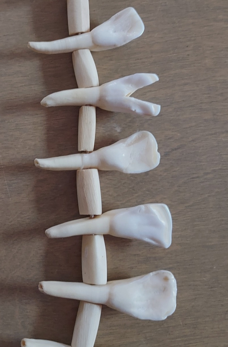 REAL Natural Vintage Tribal Ethnic Necklace Tooth / 20 TEETH + Animal BONES