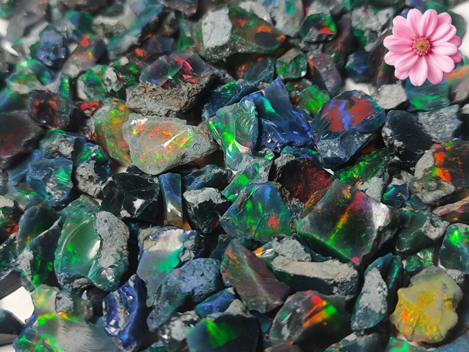 Cut Grade Opal Rough Lot AAA Grade 10 Pieces Large Size Ethiopian Welo Opal Raw