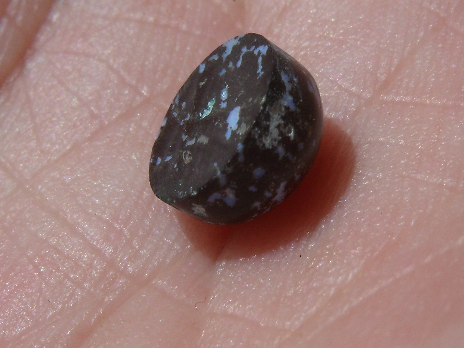 1.60 Ct. Mexican Leopard Opal Cabochon